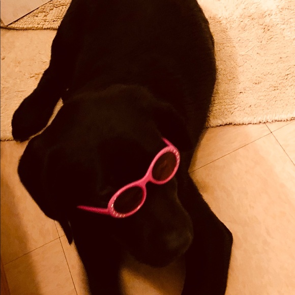 Tamara Sarmadi - Poshmark Profile Picture of Tamara Sarmadi (@2017tjs) on Poshmark