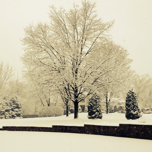 Profile Picture of Megan Dginto (@megdginto) on Poshmark