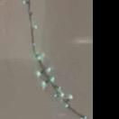 Profile Picture of davidloner (@@davidloner0) on Tiktok