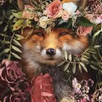 Lisa MacDonaldGunner - Facebook Profile Picture of Lisa MacDonaldGunner (@lisa.macdonaldgunner.9) on Facebook