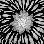 Profile Picture of Mackenzie Paul (@apersonalcollective) on Instagram