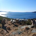 Profile Picture of Arturo Larraín de Andraca (@artlarrain) on Instagram