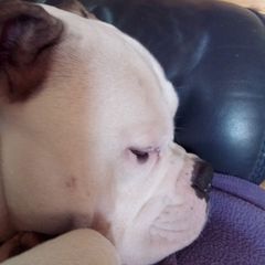 Profile Picture of paulgasska (@paulgasska) on Tiktok