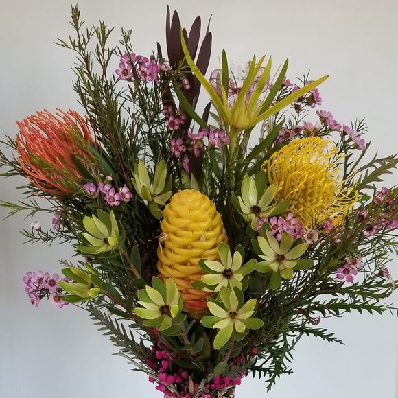 Profile Picture of Jerilynn Bloedorn (@btkb) on Poshmark