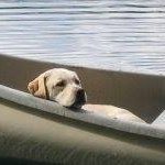 Profile Picture of Mindy Matthews (@mindy200290) on Instagram