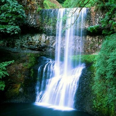 Profile Picture of Heber David (@HeberDavid14) on Twitter