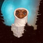 Profile Picture of Davide (@_____smithies_____) on Instagram