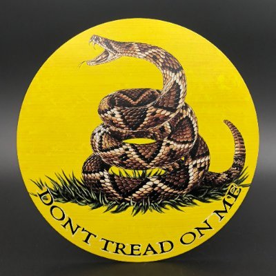 Profile Picture of Richard Conrad (@PirateDixie) on Twitter
