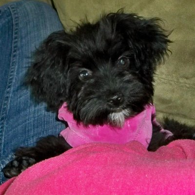 Profile Picture of Jackie McGee (@JackieM220) on Twitter