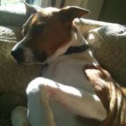 Profile Picture of Amanda Kuhns (@kuhnsa78) on Pinterest