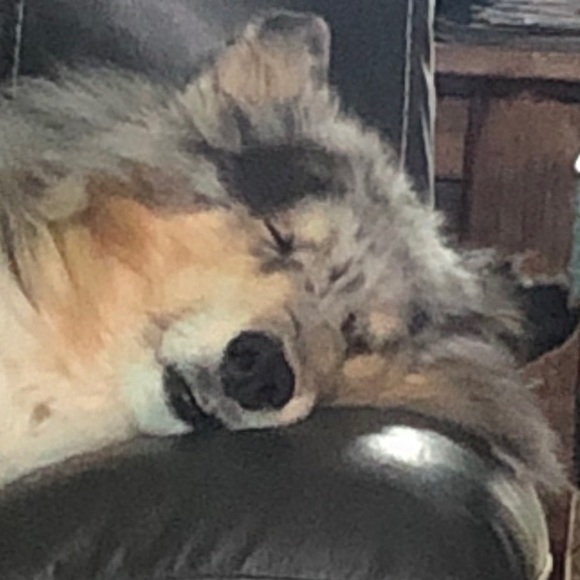 Profile Picture of Joseph Tobin (@jtobin4444) on Poshmark