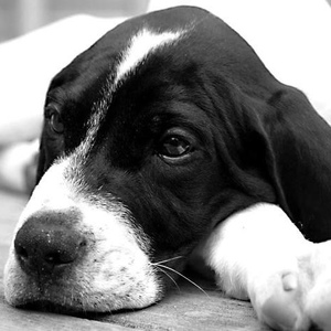 Profile Picture of Cara Pouli (@225043890) on Myspace