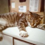 Profile Picture of 詠晴 莊 (@momo17513) on Instagram