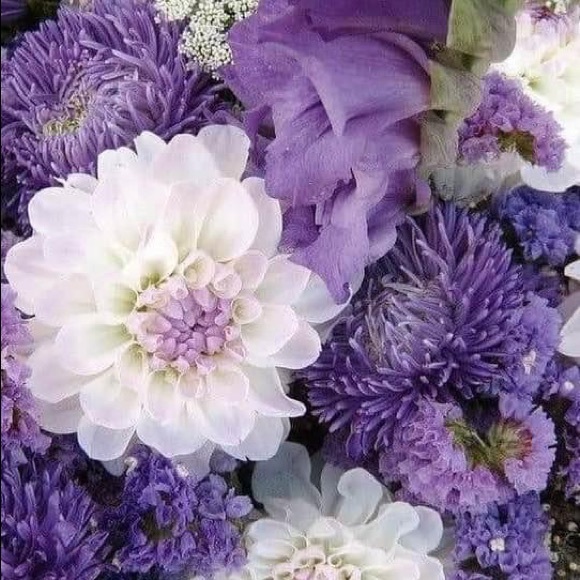 Profile Picture of Marilyn Pinneo (@noahdove775) on Poshmark