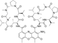 Profile Picture of Dactinomycinon Wikipedia