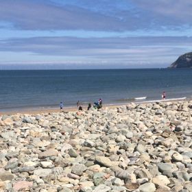 Profile Picture of Hannah H (@sparrowhannah) on Pinterest