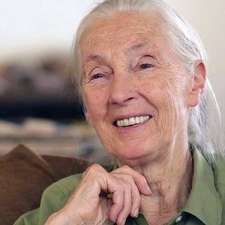 Profile Picture of Dr. Jane Goodall (@janegoodallinst) on Instagram