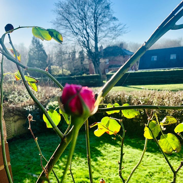 Profile Picture of Monica Dowling850 (@monicadowling2) on Tiktok