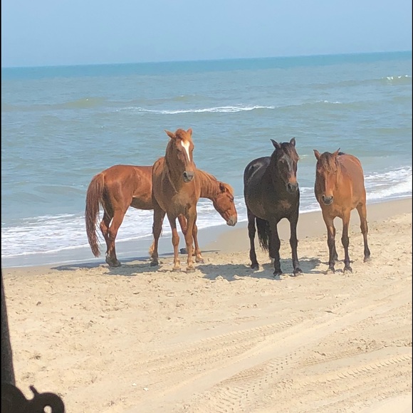 Profile Picture of Curtis Montgomery (@curtese) on Poshmark