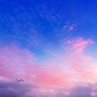 Profile Picture of Alvin Mortensen (@alvin.mortensen.35) on Facebook