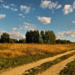 Profile Picture of Wilmoth (@wilmothmckeith) on Instagram