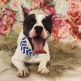 Profile Picture of Gary Barraclough (@gary.barraclough) on Facebook