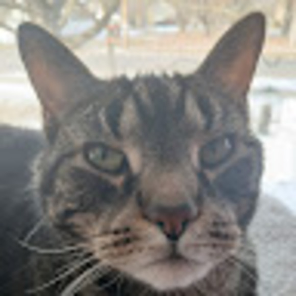 Profile Picture of Justin Martin (@justinphone2024) on Poshmark