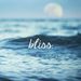 Profile Picture of Assi Ahmed (@assiahmed) on Pinterest
