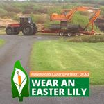 Profile Picture of Sean Mulvey (@seanmulvey.33) on Instagram