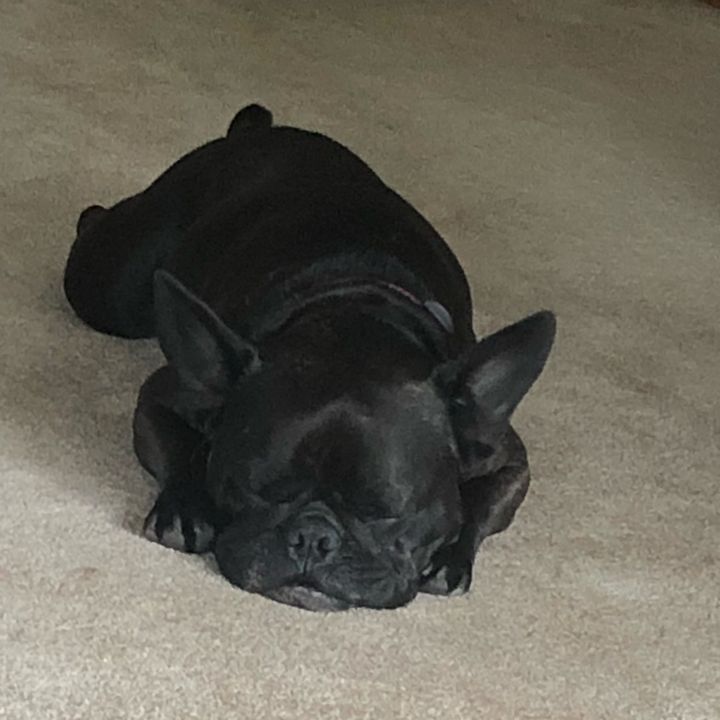 Profile Picture of Robin (@robin.cloutier) on Tiktok