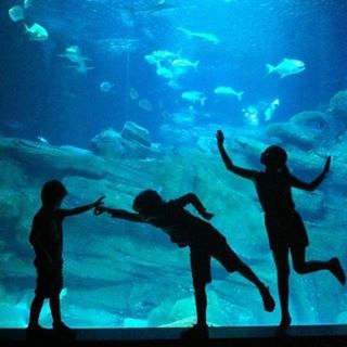 Louise Laupin - Facebook Profile Picture of Louise Laupin (@Louise-Laupin) on Facebook