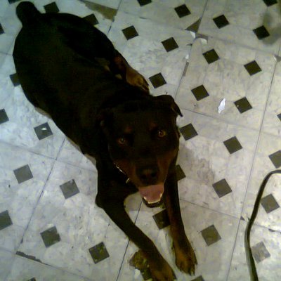 Profile Picture of Bradley Louis Harry (@EST1987brad) on Twitter