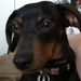 Profile Picture of Carrie Strangways (@carriestrangway) on Pinterest