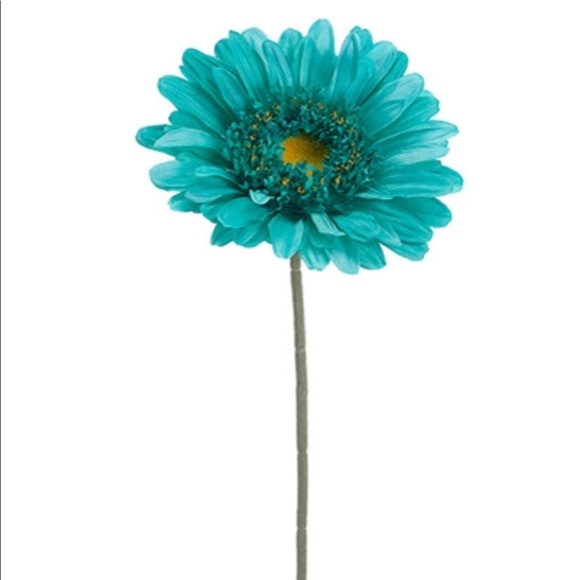 Profile Picture of Kelby Propp (@kelbypropp) on Poshmark