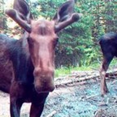 Profile Picture of Jim Spielman (@ctgolfer_) on Twitter