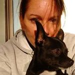 Rhonda Nutter - Instagram Profile Picture of Rhonda Nutter (@rho71_nut) on Instagram