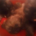 Profile Picture of Wesley Conklin (@wesley.conklin2007) on Instagram