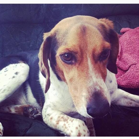 Profile Picture of Ash Rizzuto (@jasminebustillo) on Poshmark