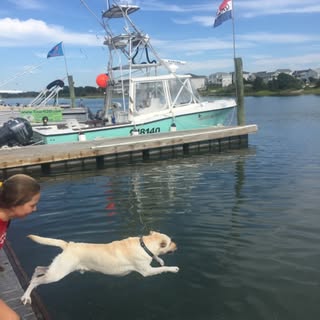 Profile Picture of Kenneth Kuhlmann (@kennethkuhlmann) on Instagram