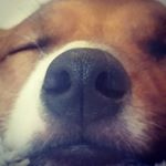 Profile Picture of Ted (@ted_the.jack) on Instagram