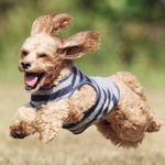 Profile Picture of Patrik Ironer (@patriktheironmaster) on Instagram