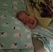 Profile Picture of Nicholas Wayne (@nicholas.wayne.75) on Facebook