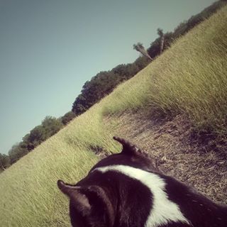 Profile Picture of Jairo Navarrete (@jairo.navarrete.39750) on Facebook