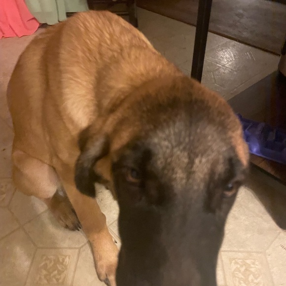 Profile Picture of James Frye (@jamesfrye474) on Poshmark