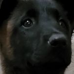 Profile Picture of Christopher Collins (@igodxi) on Instagram