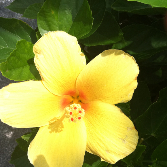 Profile Picture of Val Andreades (@grady11) on Poshmark