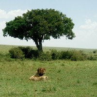 Profile Picture of Vicky Chao (@vicky-chao-5) on Quora