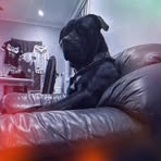 Profile Picture of Brock Rosten (@brock.rosten) on Facebook