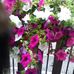 Profile Picture of Maria Nardone (@maria.nardone.391) on Facebook