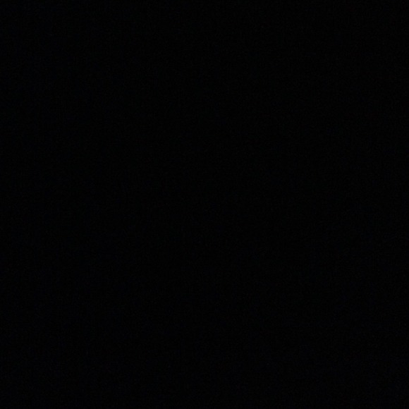 Profile Picture of Nicole Riepl (@nicoleriepl) on Poshmark